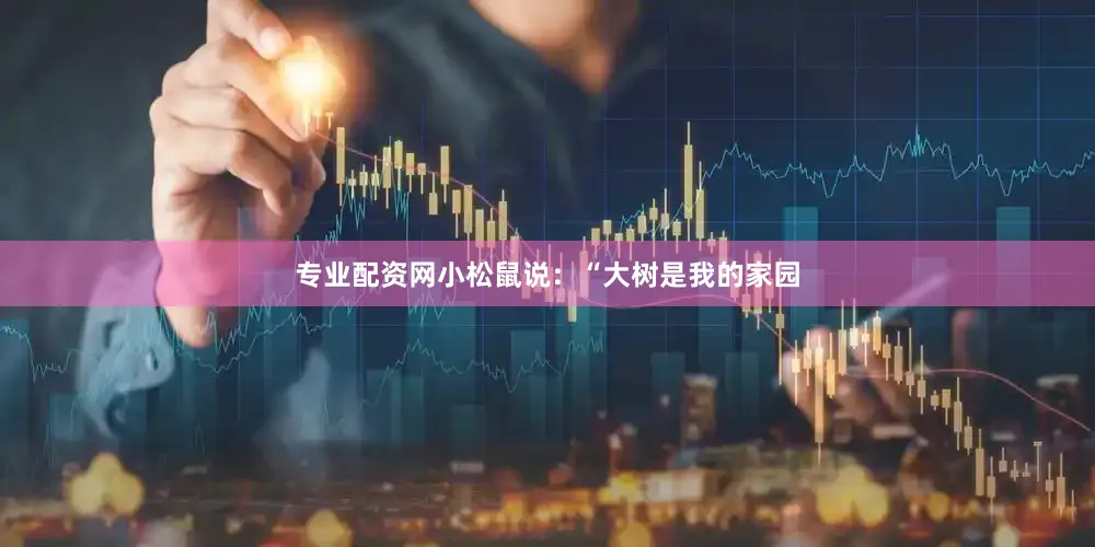 专业配资网小松鼠说：“大树是我的家园