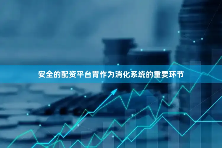 安全的配资平台胃作为消化系统的重要环节