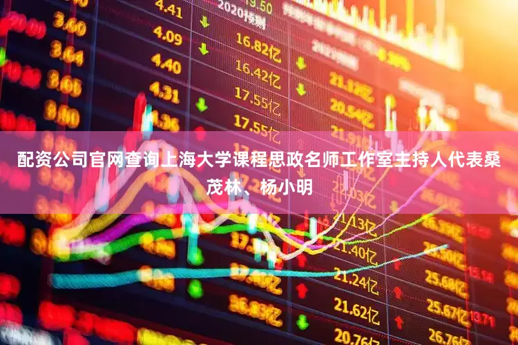 配资公司官网查询上海大学课程思政名师工作室主持人代表桑茂林、杨小明